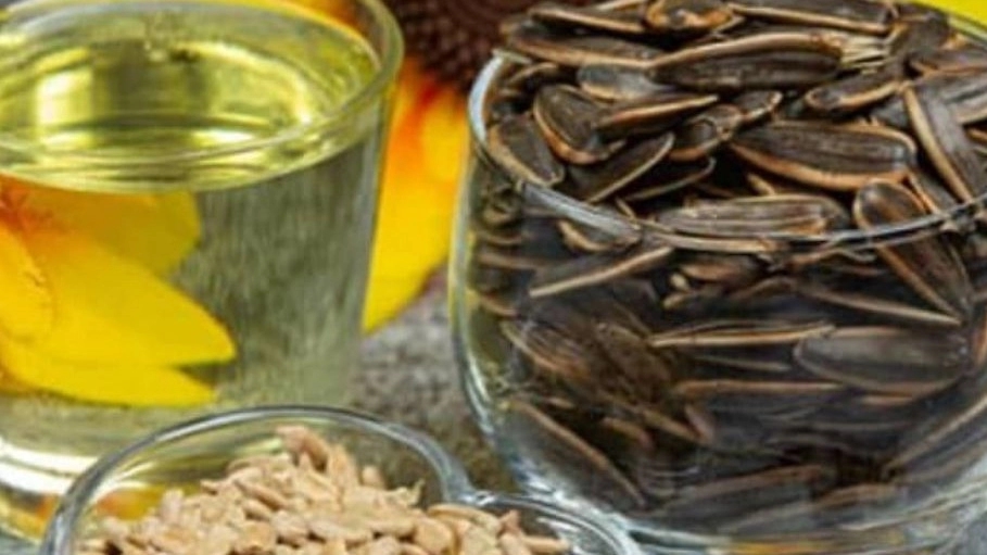 صادرات تخمه آفتاب‌گردان اعلا