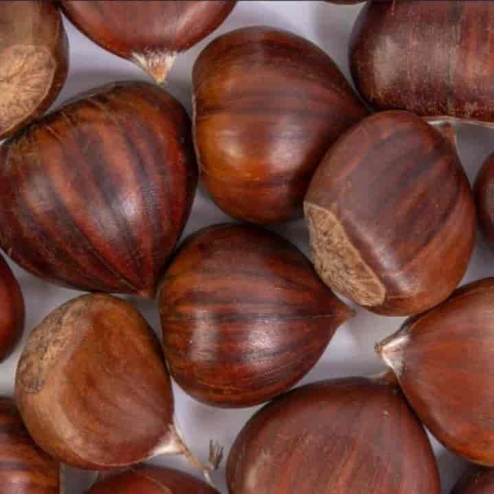 فندق درجه یک گیلان