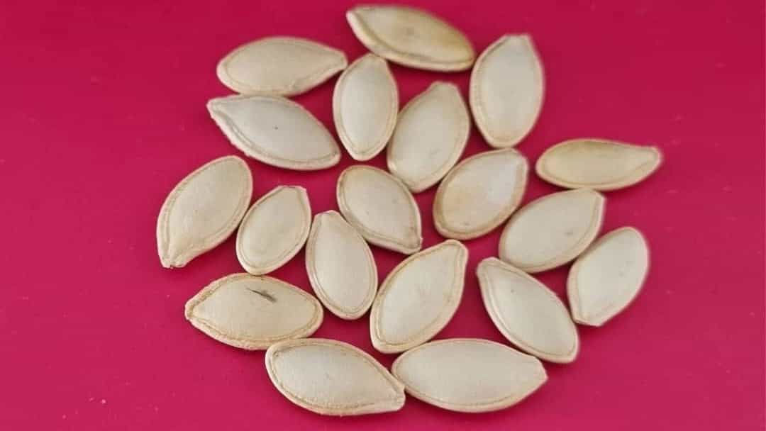خرید تخم کدوی اعلا با قیمت مناسب