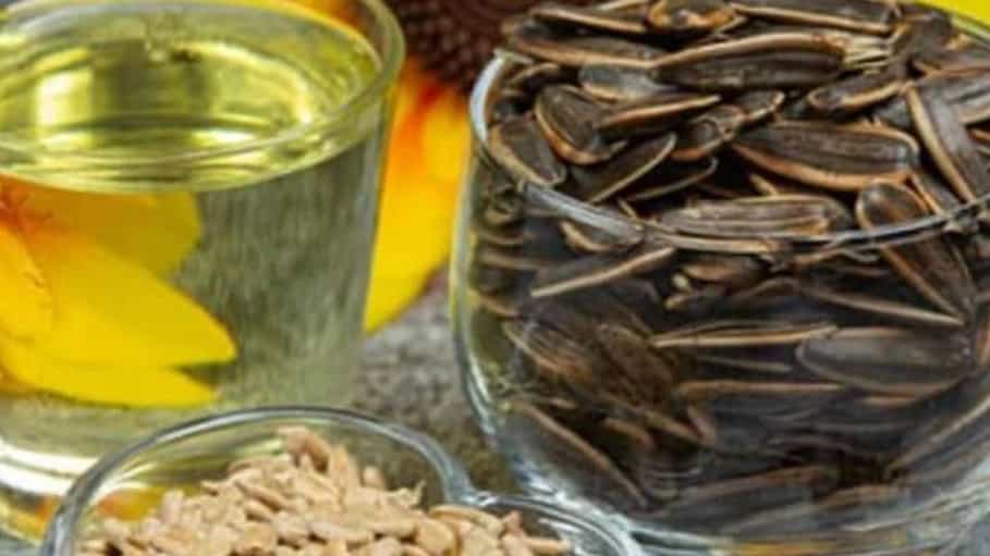 صادرات تخمه آفتاب‌گردان اعلا