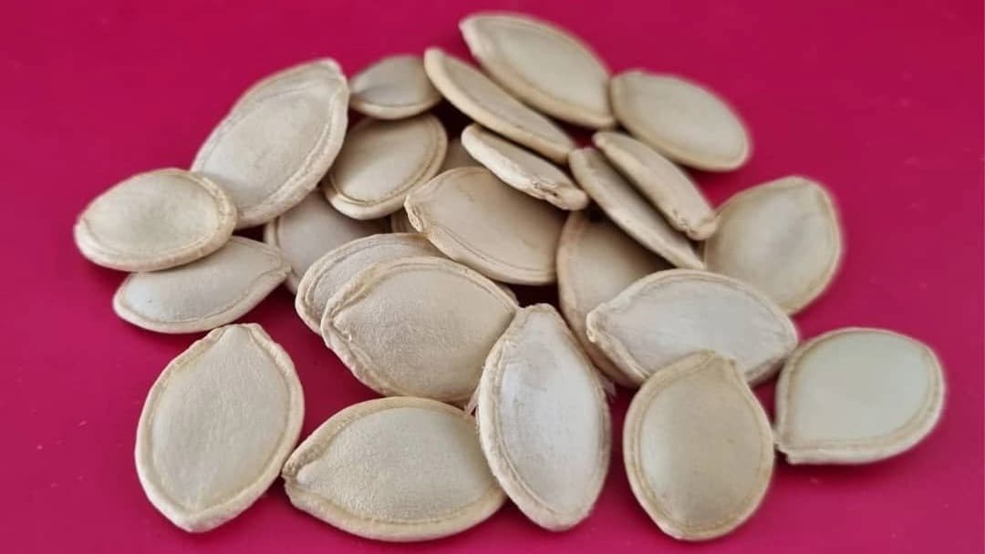 فروش انواع میوه خشک مشگینی ژیکان